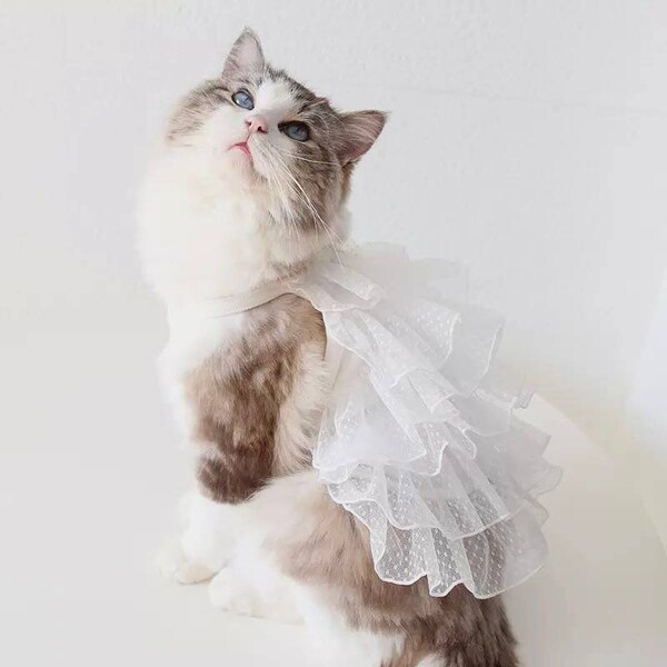 Vestido blanco para mascotas, Vestido de novia para mascotas, Vestido para gatos pequeños, Vestido rosa para gatos, Vestido de princesa para mascotas, Ropa linda para gatos, Vestido para gatos, Ropa para gatos