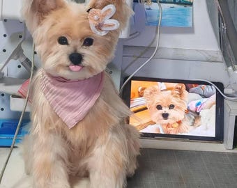 Custom Wool Pet Memorial Figurine: 3D Dog Portrait Plush