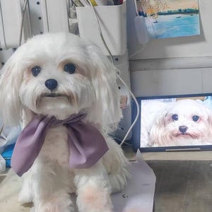 Custom Wool Pet Memorial: 3D Dog Figurine, Personalized Plush Sculpture