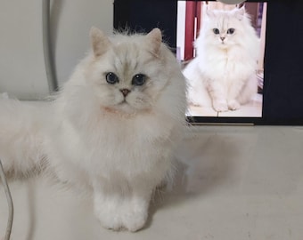 Replica personalizzata di un gatto da una foto, ritratto di gatto in feltro ad ago, regalo commemorativo personalizzato per animali domestici, ricordo realistico del gatto