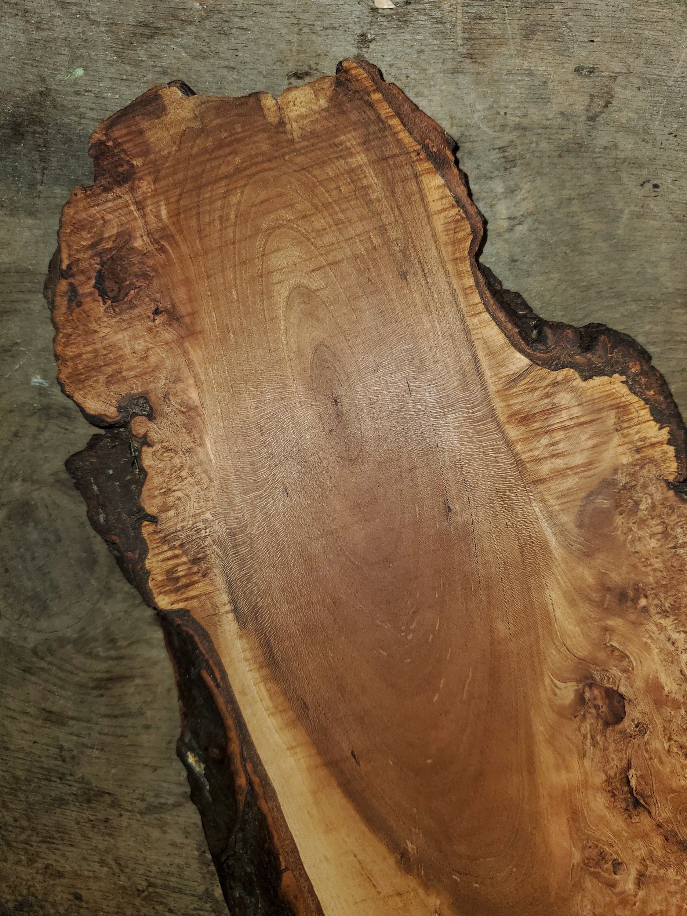 Burl Wood Charcuterie Board - Etsy