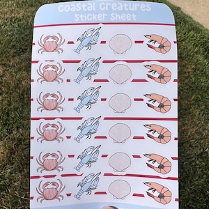 May include: A sticker sheet with a light blue border featuring illustrations of coastal creatures. The sheet includes images of crabs, lobsters, scallops, and shrimp. The text "Coastal Creatures Sticker Sheet" is printed at the top.