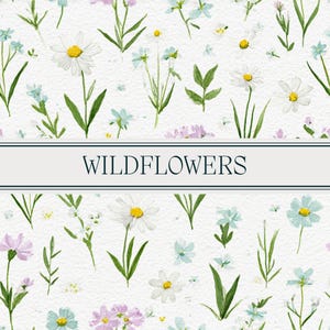 Pastel Wildflower Field | Seamless Floral Pattern | Watercolor Daisy Digital Paper