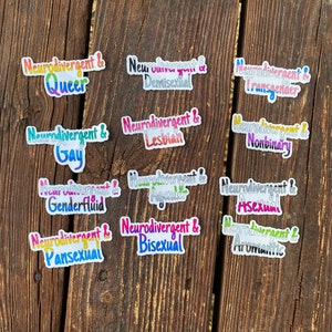 May include: A collection of eleven die-cut stickers featuring the text Neurodivergent followed by an ampersand and various identity terms including Queer, Demisexual, Transgender, Gay, Lesbian, Nonbinary, Genderfluid, Agender, Asexual, Pansexual, Bisexual, and Aromantic in colorful, multi-toned lettering.