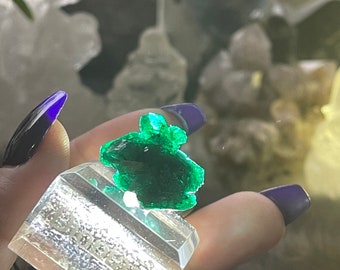 Large Dioptase crystals on stand