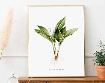 Lámina de lirio de los valles: arte mural botánico, decoración minimalista (descarga digital)