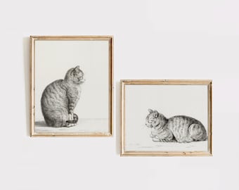 Conjunto de esboços de gatos vintage: arte de parede em estilo antigo (download digital)