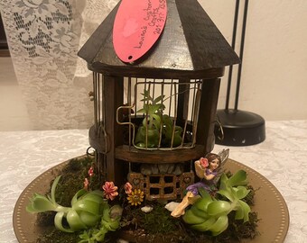 Living Fairy House w/Live Plants