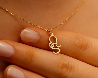 Colar com o signo do zodíaco em prata esterlina: joias personalizadas com horóscopo