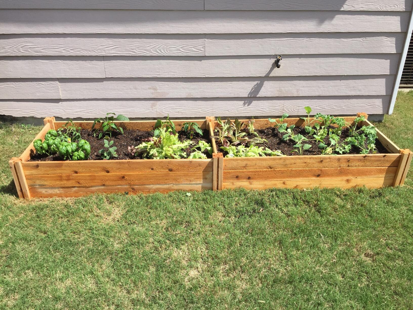 Cedar Raised Garden Bed Elevated Planter Box for Garden Etsy