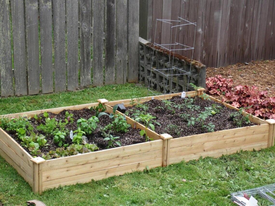Cedar Raised Garden Bed Elevated Planter Box for Garden Etsy