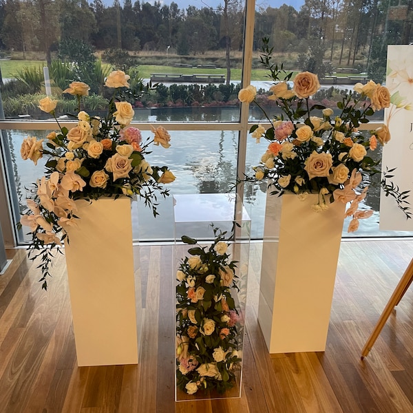 Acrylic Plinths
