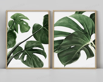 May include: Two framed prints of green monstera leaves on a white background. The leaves are large and have a deep green color.