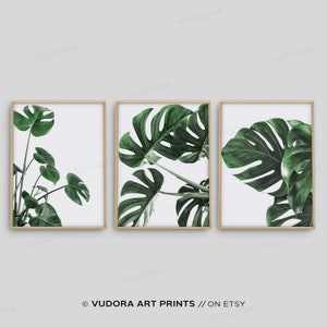 Conjunto de 3 arte de parede, planta Monstera, decoração de parede Boho, arte de folha Monstera, arte de parede botânica, arte de parede minimalista, pôster de folhas verdes, natureza