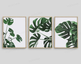 Set of 3 Wall Art, Monstera Plant, Boho Wall Decor, Monstera Leaf Art, Botanical Wall Art, Minimalist Wall Art, Green Leaves Poster, Nature