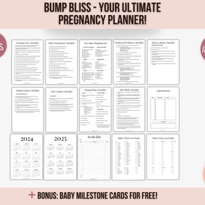 Printable Pregnancy Checklists, Maternity Planner, Printable Baby Prep, Baby Planning, Printable Pregnancy To-Do List, Pregnancy Organiser image 2