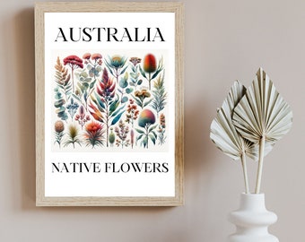 Australian Native Flowers and Plants Botanical Print