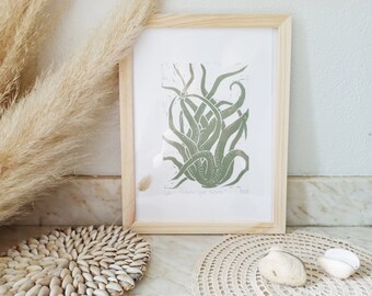 Linocut Tillandsia caput medusa A6