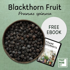 Organic Dried Blackthorn Fruit: Herbal Tea Ingredient, Sustainably Sourced