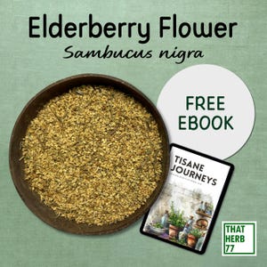 Dried Elderberry flowers (Sambucus nigra) | Best Quality | 100% Organic | Natural Plant | Dried flowers | Herbal Tea | Sustainably Sourced