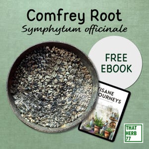 Organic Comfrey Root: Herbal Tea, Sustainably Sourced