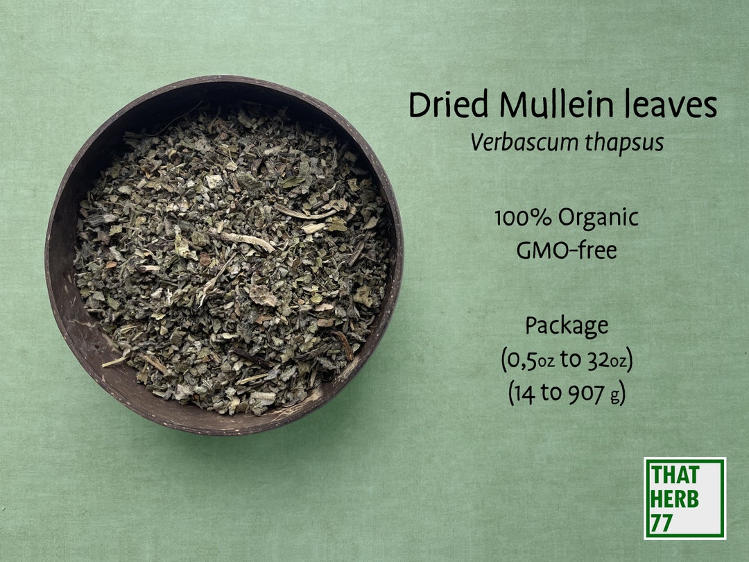 Dried Mullein Leaves verbascum Thapsus Best Quality 100 Etsy