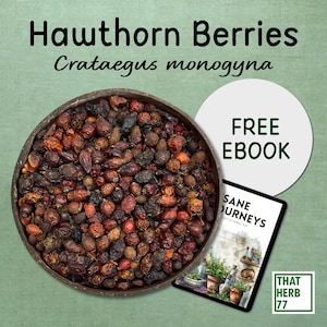 Organic Hawthorn Berries: Natural Dried Fruit, Herbal Tea