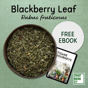 Blackberry Leaves (Rubus fruticosus) | Best Quality | 100% Organic | Dried Leaves | Natural | Herbal Tea | Sustainably Sourced | Non-GMO