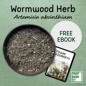 Organic Wormwood Herb (Artemisia absinthium): Sustainably Sourced Herbal Tea