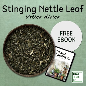 Organic Stinging Nettle Leaf: Herbal Tea, Sustainably Sourced