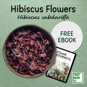 Dried Hibiscus Flower (Hibiscus sabdariffa) | Best Quality | 100% Organic | Dried Natural Flower | Herbal Tea | Sustainably Sourced | NonGMO