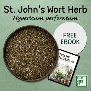 Organic St. John&#39;s Wort Herb: Sustainably Sourced, Herbal Tea