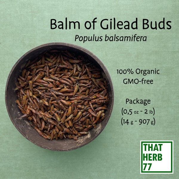Balm of Gilead Buds (Populus balsamifera) | Best Quality | 100% Organic | Dried Herb | Herbal Tea | Sustainably Sourced | Non-GMO