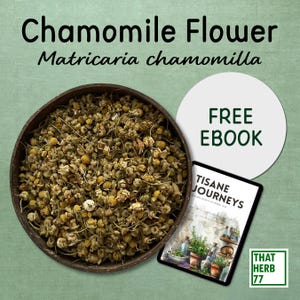 Organic Chamomile Flower: Herbal Tea, Sustainably Sourced