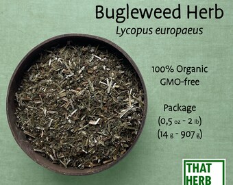 Dried Bugleweed Herb (Lycopus europaeus) | Best Quality | 100% Organic | Dried Natural Herb | Herbal Tea | Sustainably Sourced | Non-GMO