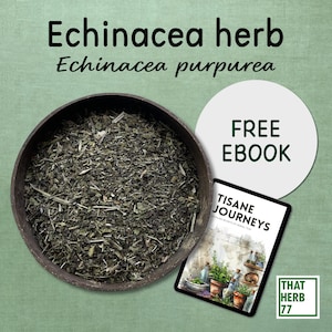 Organic Dried Echinacea Herb: Herbal Tea, Sustainably Sourced