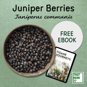 Whole Juniper Berry (Juniperus communis) | Best Quality | 100% Organic | Dried Berries | Natural | Herbal Tea | Sustainably Sourced | NonGMO