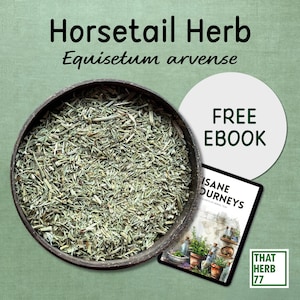 Organic Horsetail Herb: Natural Herbal Tea, Sustainably Sourced