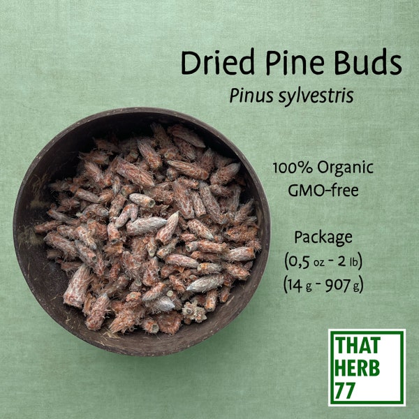 Dried Pine Buds [Pinus sylvestris] | Best Quality | 100% Organic, GMO-free | Package (1oz to 32oz) (28-907 g)