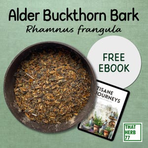 Alder Buckthorn Bark [Rhamnus frangula] | Best Quality | 100% Organic | GMO Free | Dried Natural Herb | Herbal Tea | Sustainably Sourced