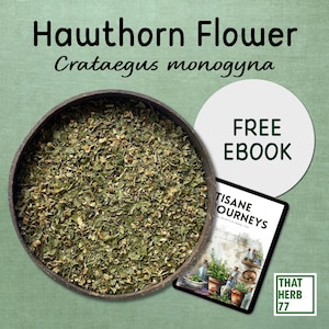 Organic Hawthorn Flower: Natural Herbal Tea, Sustainably Sourced