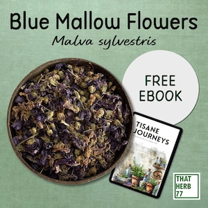 Blue Mallow Flowers (Malva sylvestris) | Best Quality | 100% Organic | Dried Flowers | Natural | Herbal Tea | Sustainably Sourced | Non-GMO