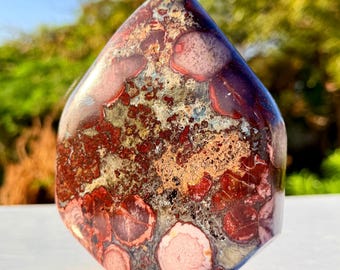 Polished Cobra Jasper Freeform Stone | Natural Red Healing Decor Piece