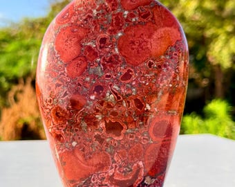 Natural Cobra Jasper Freeform | Polished Jasper Crystal | Healing Stone | Spiritual Decor | Collector Mineral Piece