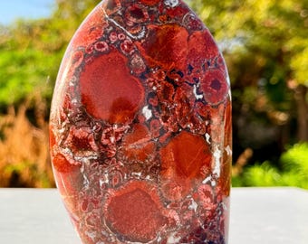 Red Cobra Jasper Freeform Stone | Polished Natural Crystal Decor