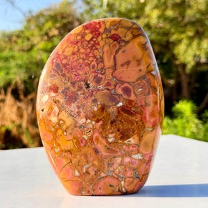 Puede incluir: Una piedra pulida de forma libre con una mezcla de colores melocotón, naranja, rojo y marrón. La piedra tiene un patrón orgánico único con un acabado liso y brillante. La piedra natural se muestra sobre un fondo verde borroso.