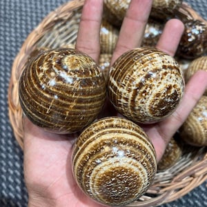 Può includere: Una collezione di sfere di agata striate di marrone e bianco. Le sfere sono lisce e lucidate, con un aspetto naturale e organico.