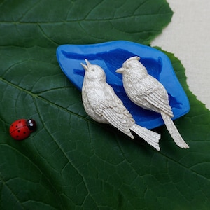 Bird Silicone Mold: Food-Grade Polymer Clay & Soap Making