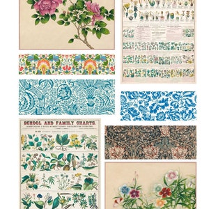 DIGITAL Mega Vintage Botanical Junk Journal Ephemera - Digital Botanical Collage Sheet Download