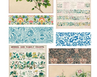 Material efímero botánico vintage para imprimir, hoja de collage floral para diario creativo.
